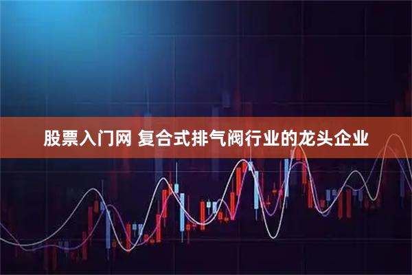 股票入门网 复合式排气阀行业的龙头企业