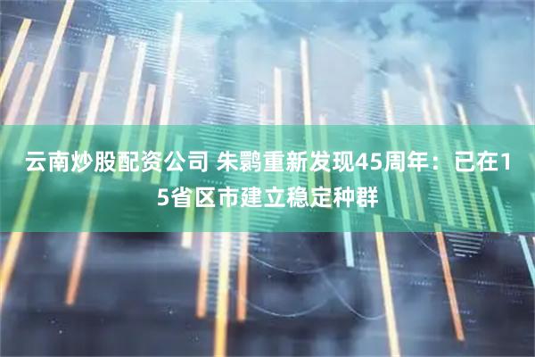 云南炒股配资公司 朱鹮重新发现45周年：已在15省区市建立稳定种群